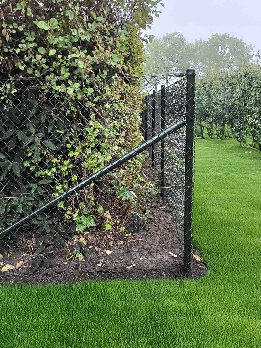 Best Quality Chain Link Fences at the Best Prices - Shipped Worldwide |  Fenceweb