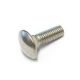 Carriage bolt | 5/16" x 1" | Stainless Steel