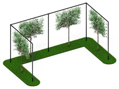Leibomen frame | 12 meter breed | 2 hoeken | Zwart