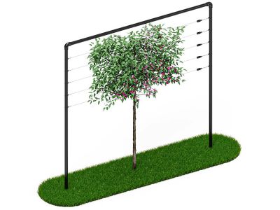 Leibomen frame | 3 meter breed | Zwart