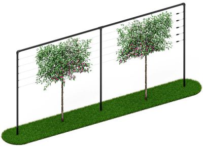 Leibomen frame | 6 meter breed | Zwart
