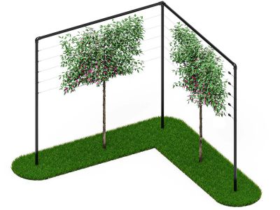 Leibomen frame | 6 meter breed | 1 hoek | Zwart