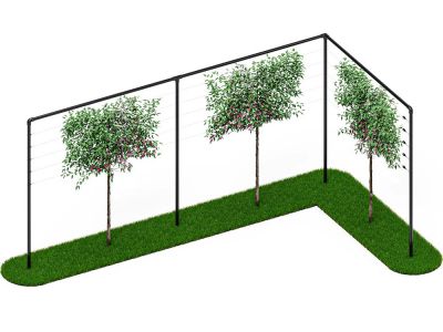 Leibomen frame | 9 meter breed | 1 hoek | Zwart