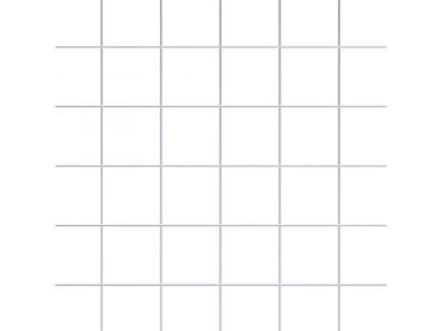 Wire Mesh | 2" x 2" | 8 GA | Hot Dip Galvanized