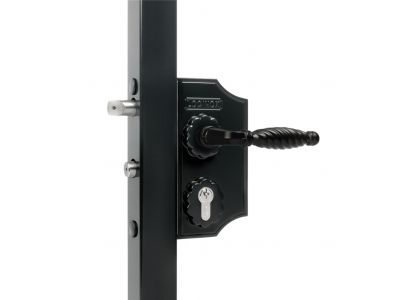 Small surface mounted ornamental gate lock 