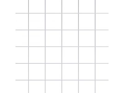Wire Mesh | 2" x 2" | 10 GA | Hot Dip Galvanized