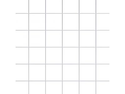Wire Mesh | 2" x 2" | 12 GA | Hot Dip Galvanized