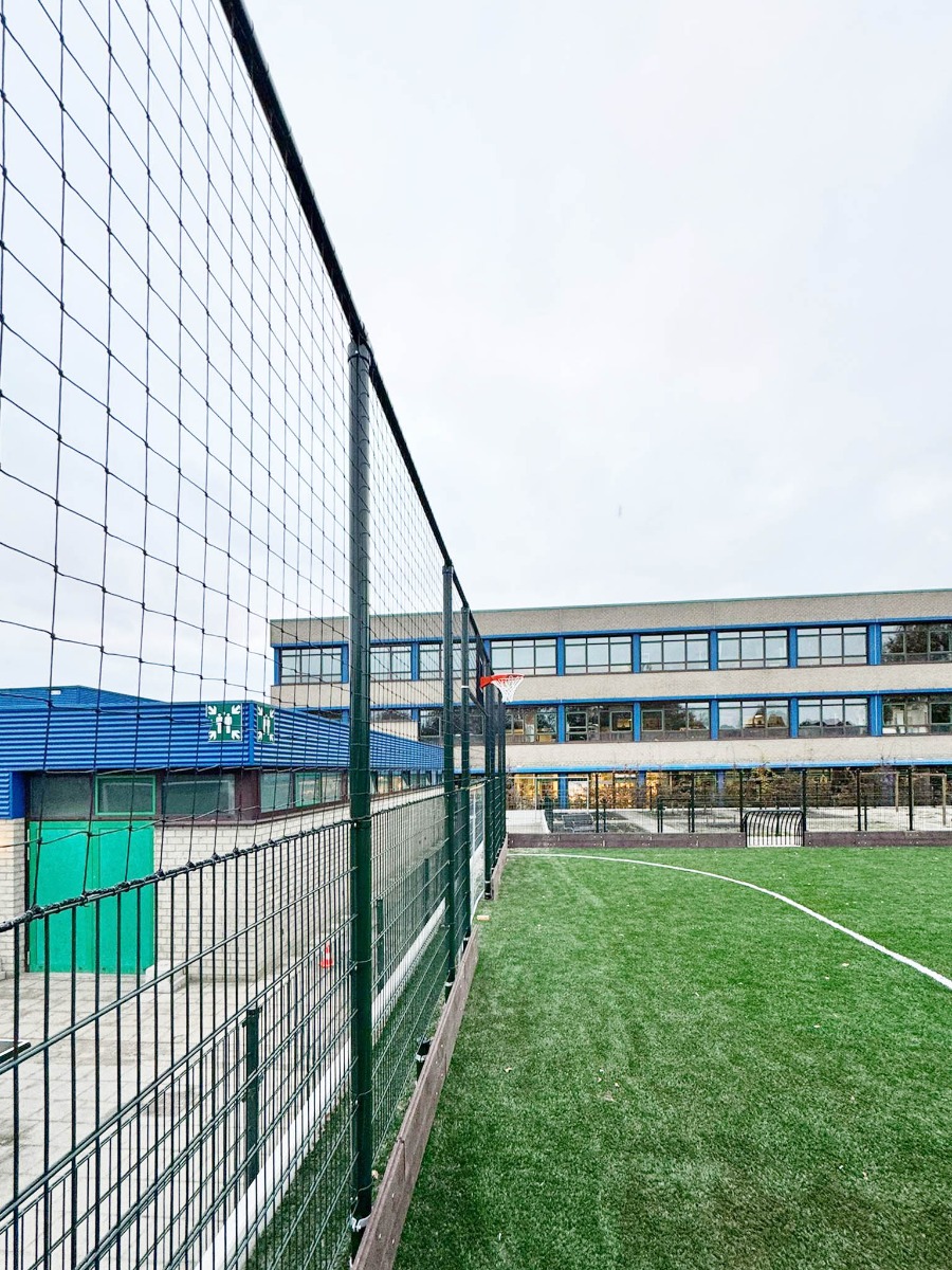 Pannakooi met basket en kunstgras