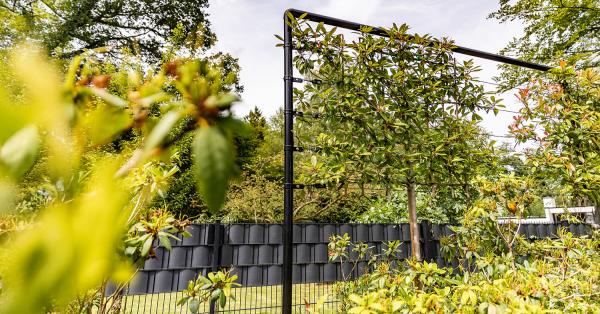 Tuin