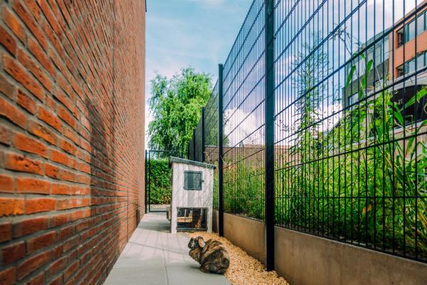 Twin wire mesh fencing