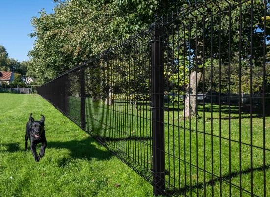 V mesh fencing